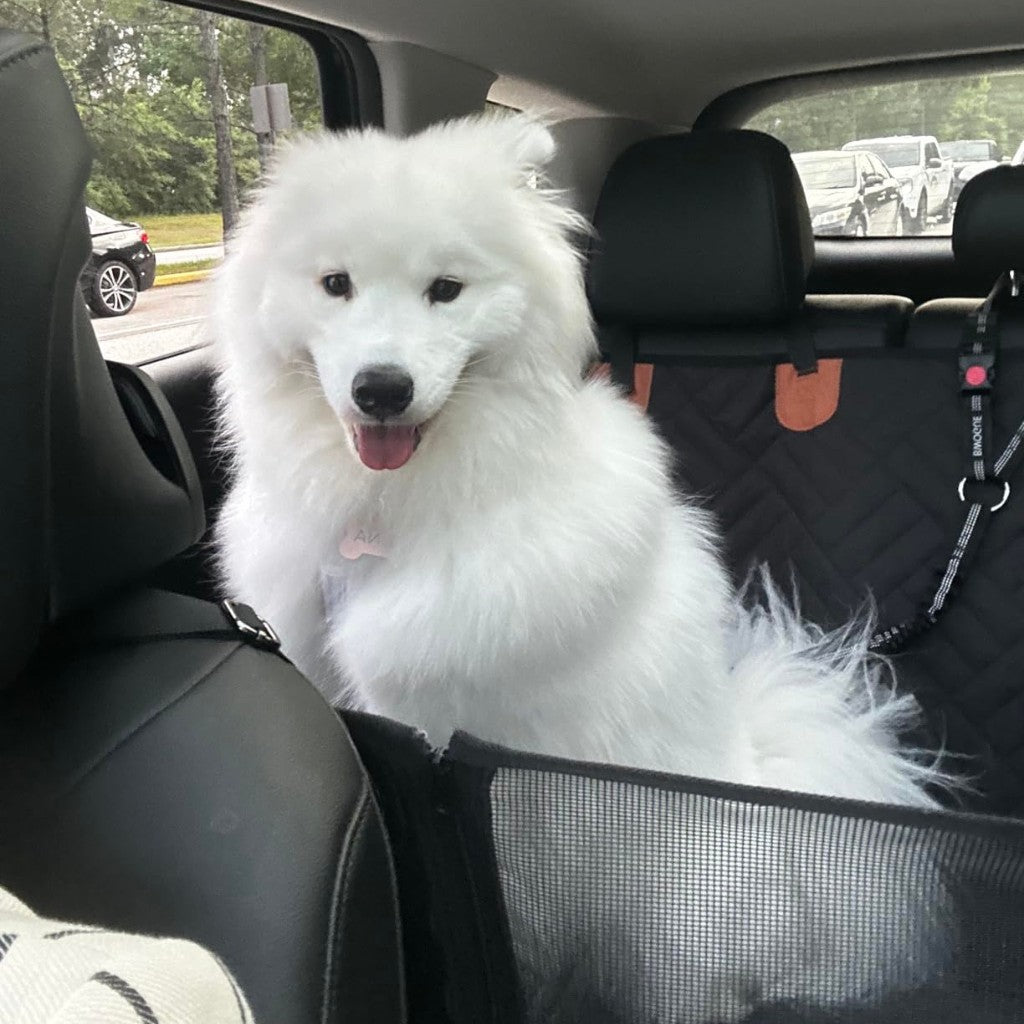 White fluffy dog sitting comfortably in a car using the Pawsely Pup-tastic Car Backseat Cover & Extender.