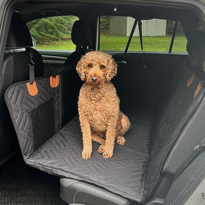 Brown curly-haired dog sitting on the Pawsely Pup-tastic Car Backseat Cover & Extender inside a car.